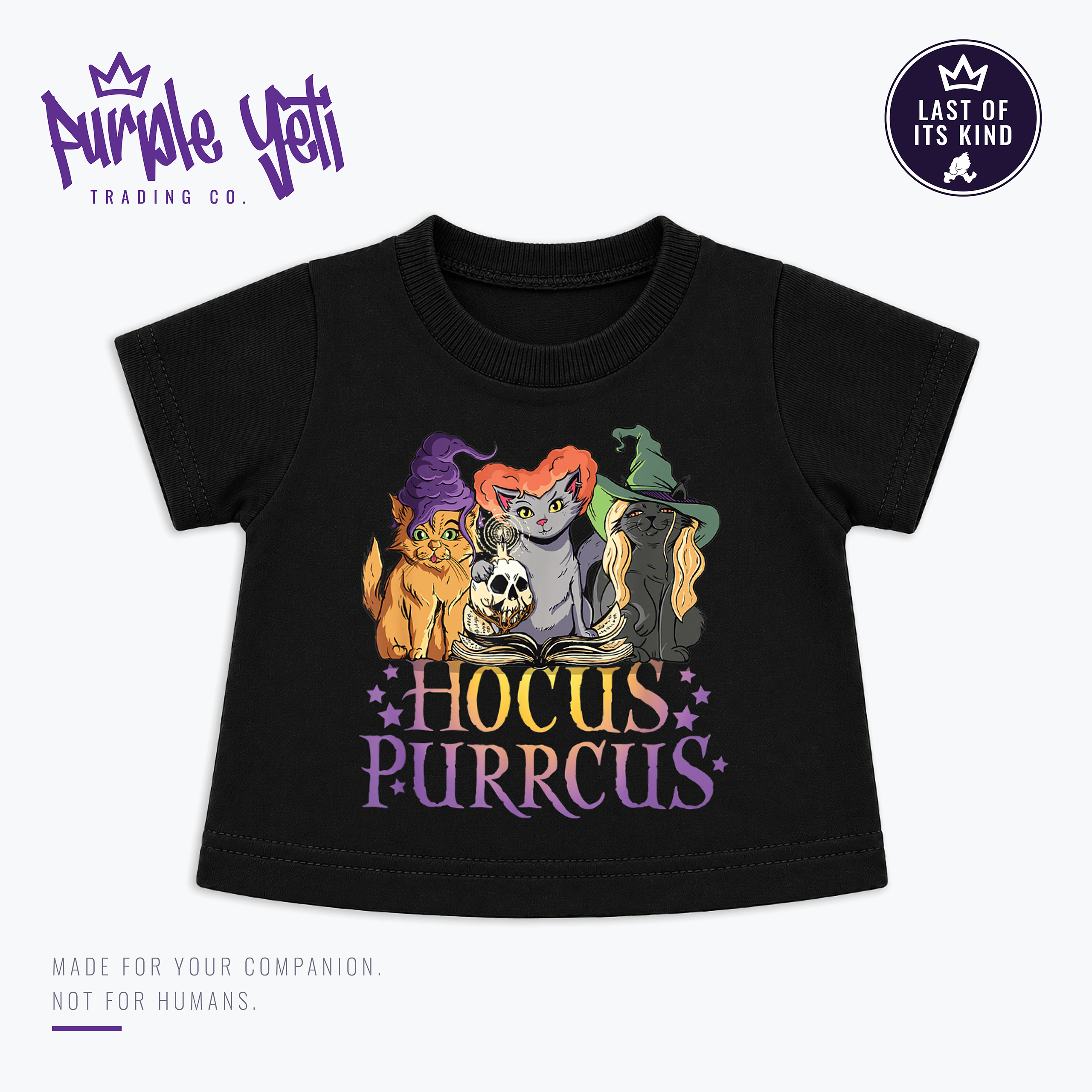 Hocus Purrcus